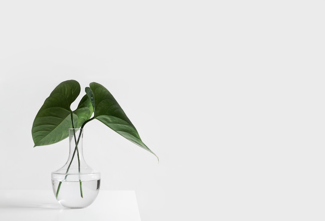 Orange in interior design
